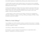 write SEO food blogs or articles about nutrition, recipes and diets